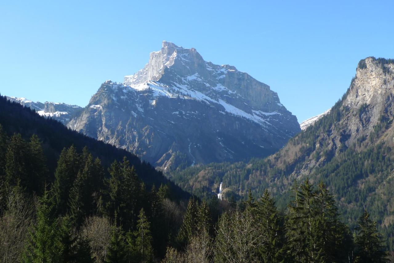 Chalet*** Au Pied D'Une Prairie Face A La Montagne Sixt Esterno foto