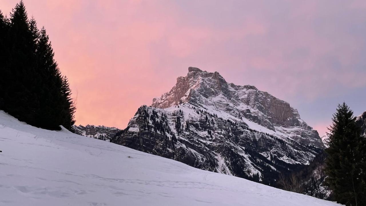 Chalet*** Au Pied D'Une Prairie Face A La Montagne Sixt Esterno foto