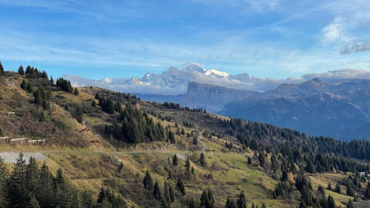 Chalet*** Au Pied D'Une Prairie Face A La Montagne Sixt Esterno foto