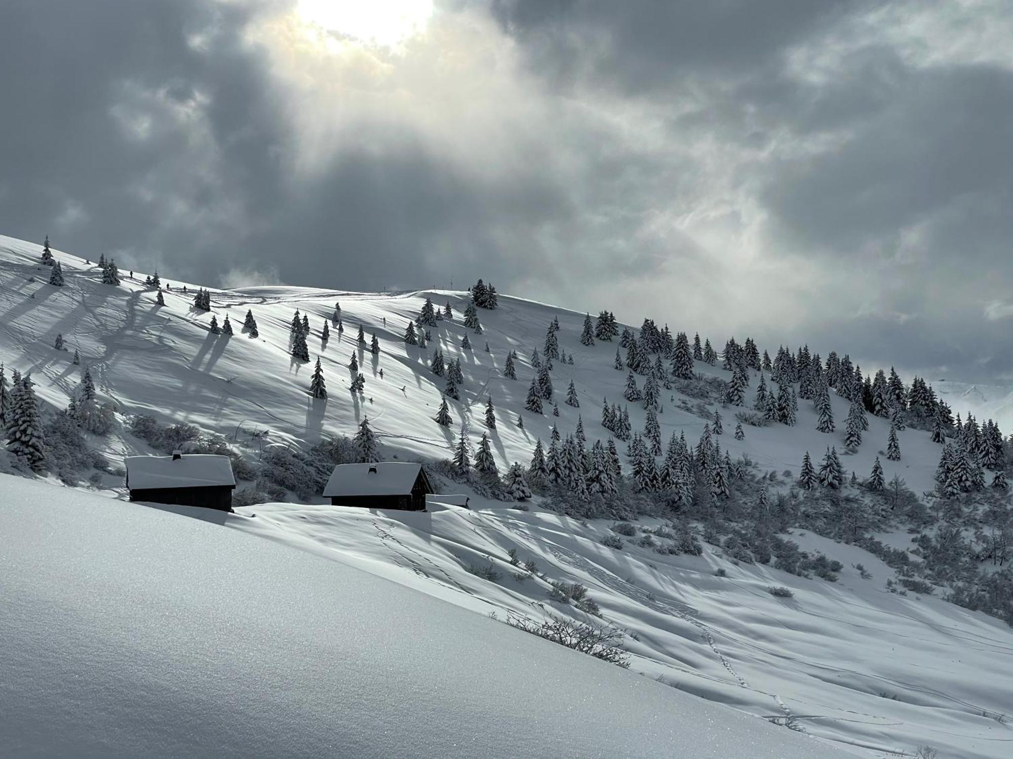 Chalet*** Au Pied D'Une Prairie Face A La Montagne Sixt Esterno foto